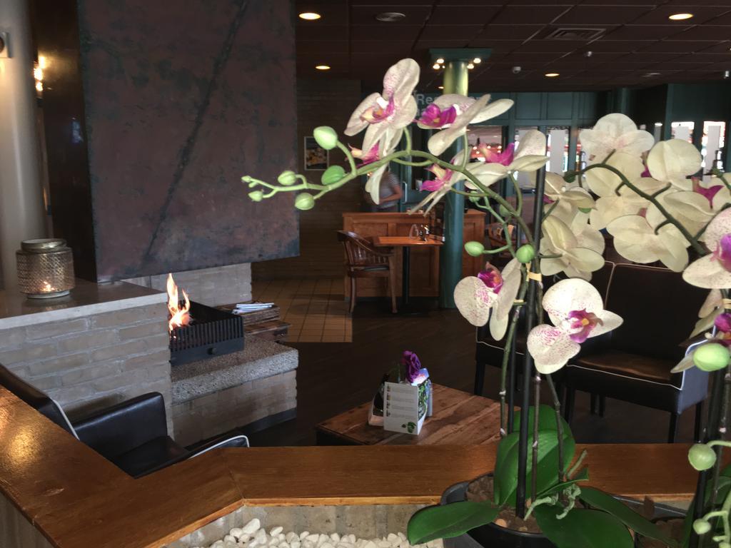 Appartement Ut & Thus, Resort Amelander Kaap Hollum  Luaran gambar